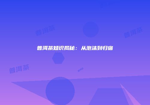 普洱茶知识揭秘：从泡沫到归宿