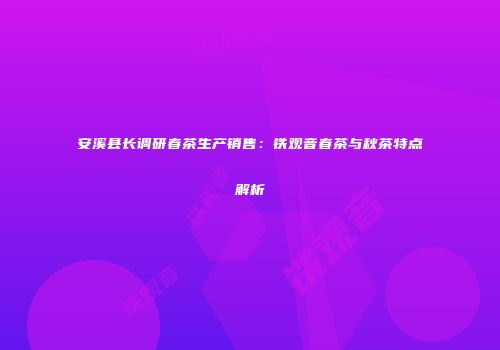 安溪县长调研春茶生产销售：铁观音春茶与秋茶特点解析