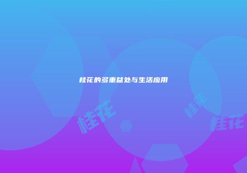 桂花的多重益处与生活应用