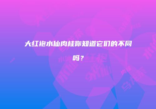 大红袍水仙肉桂你知道它们的不同吗？