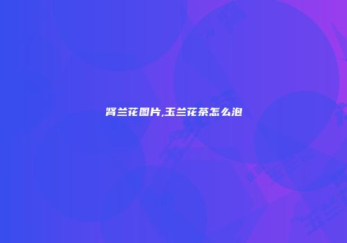 肾兰花图片,玉兰花茶怎么泡