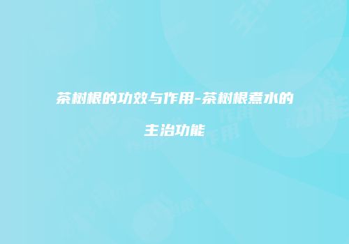 茶树根的功效与作用-茶树根煮水的主治功能