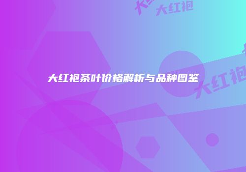 大红袍茶叶价格解析与品种图鉴