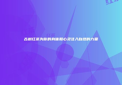 古树红茶为你的身体和心灵注入自然的力量