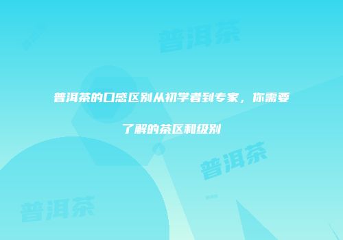 普洱茶的口感区别从初学者到专家，你需要了解的茶区和级别
