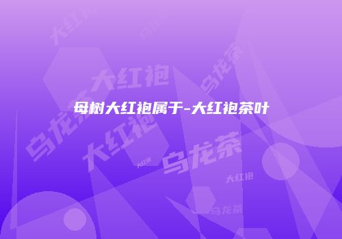 母树大红袍属于-大红袍茶叶