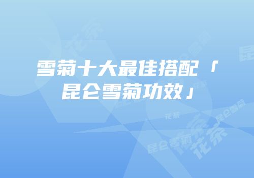 雪菊十大最佳搭配「昆仑雪菊功效」