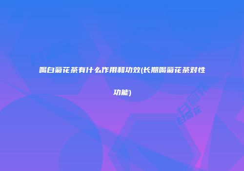 喝白菊花茶有什么作用和功效(长期喝菊花茶对性功能)