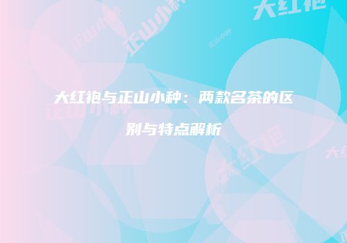 大红袍与正山小种：两款名茶的区别与特点解析