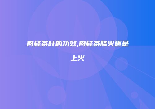 肉桂茶叶的功效,肉桂茶降火还是上火