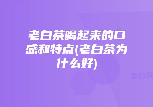 老白茶喝起来的口感和特点(老白茶为什么好)