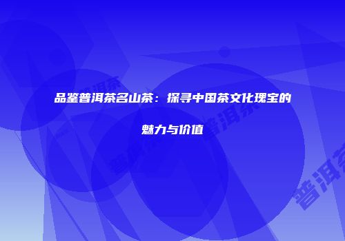 品鉴普洱茶名山茶：探寻中国茶文化瑰宝的魅力与价值