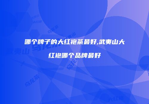 哪个牌子的大红袍茶最好,武夷山大红袍哪个品牌最好