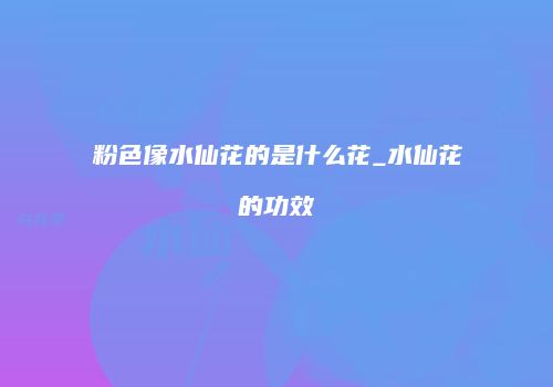 粉色像水仙花的是什么花_水仙花的功效