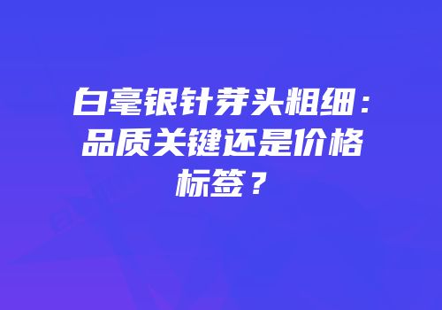 白毫银针芽头粗细：品质关键还是价格标签？