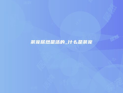 茶宠居然是活的_什么是茶宠