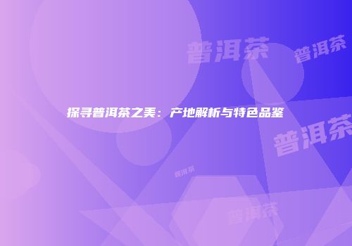 探寻普洱茶之美：产地解析与特色品鉴
