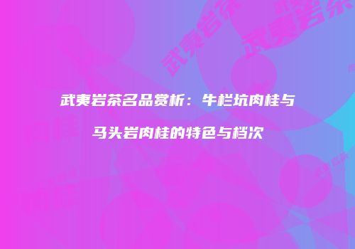 武夷岩茶名品赏析：牛栏坑肉桂与马头岩肉桂的特色与档次