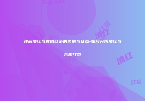 详解滇红与古树红茶的区别与特点-如何分辨滇红与古树红茶