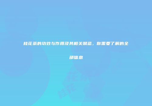 桂花茶的功效与作用及其相关禁忌，你需要了解的全部信息