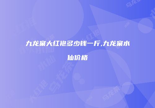 九龙窠大红袍多少钱一斤,九龙窠水仙价格