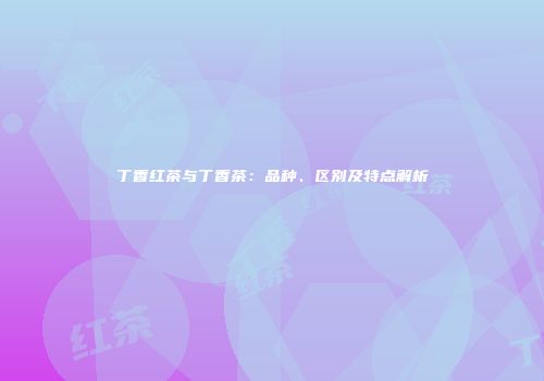 丁香红茶与丁香茶：品种、区别及特点解析