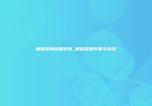 矮脚茶的药用功效_矮脚茶的作用与功效