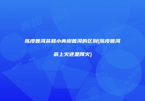 陈皮普洱茶和小青柑普洱的区别(陈皮普洱茶上火还是降火)