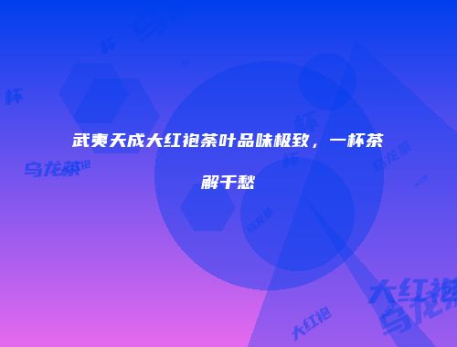 武夷天成大红袍荼叶品味极致，一杯茶解千愁