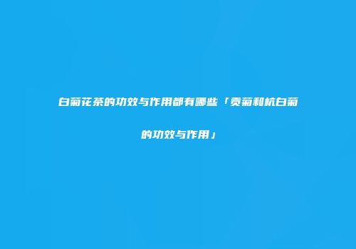 白菊花茶的功效与作用都有哪些「贡菊和杭白菊的功效与作用」