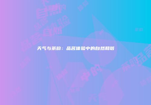 天气与茶韵：品茗体验中的自然和谐