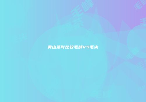 黄山茶叶比较毛峰VS毛尖