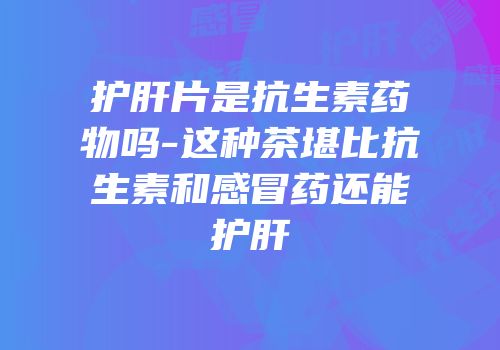 护肝片是抗生素药物吗-这种茶堪比抗生素和感冒药还能护肝