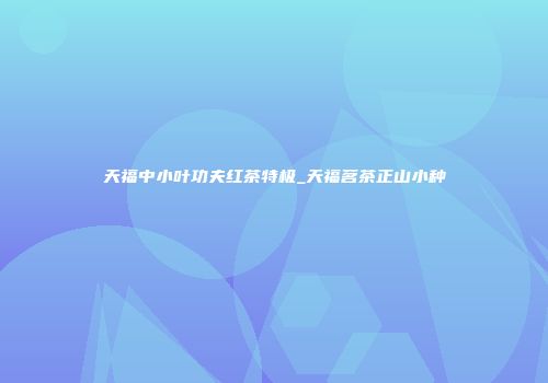 天福中小叶功夫红茶特极_天福茗茶正山小种