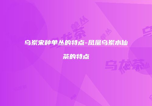 乌岽宋种单丛的特点-凤凰乌岽水仙茶的特点