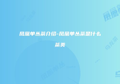 凤凰单丛茶介绍-凤凰单丛茶是什么茶类