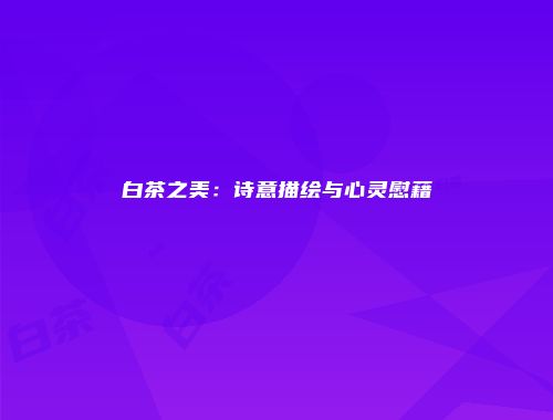 白茶之美：诗意描绘与心灵慰藉
