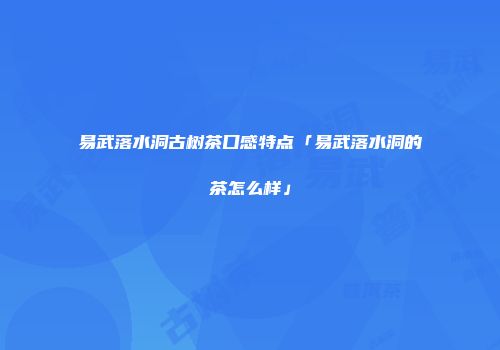 易武落水洞古树茶口感特点「易武落水洞的茶怎么样」