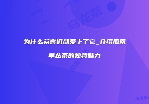 为什么茶客们都爱上了它_介绍凤凰单丛茶的独特魅力