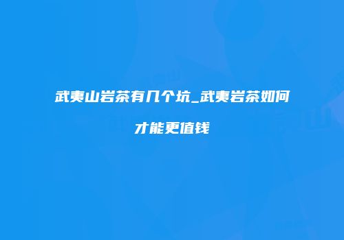 武夷山岩茶有几个坑_武夷岩茶如何才能更值钱