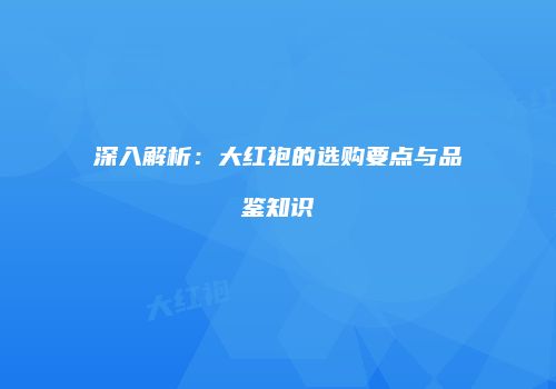 深入解析：大红袍的选购要点与品鉴知识