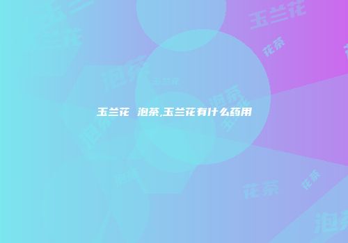 玉兰花 泡茶,玉兰花有什么药用