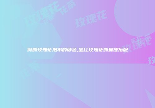 假的玫瑰花泡水的颜色,墨红玫瑰花的最佳搭配