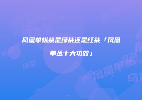 凤凰单枞茶是绿茶还是红茶「凤凰单丛十大功效」