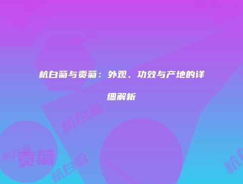 杭白菊与贡菊：外观、功效与产地的详细解析