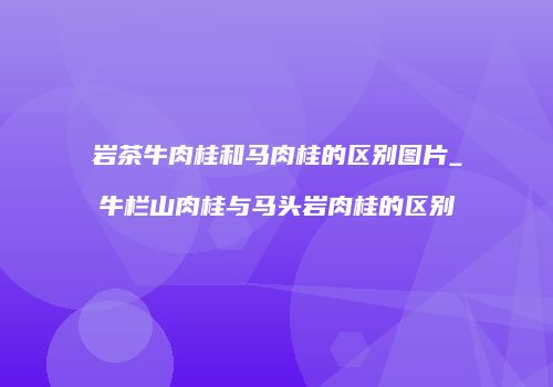 岩茶牛肉桂和马肉桂的区别图片_牛栏山肉桂与马头岩肉桂的区别