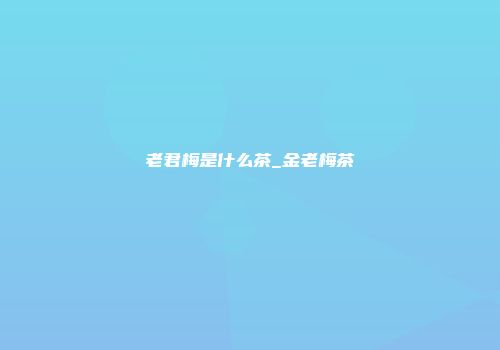 老君梅是什么茶_金老梅茶