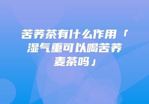 苦荞茶有什么作用「湿气重可以喝苦荞麦茶吗」