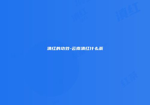 滇红的功效-云南滇红什么茶