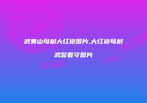 武夷山母树大红袍图片,大红袍母树武警看守图片
